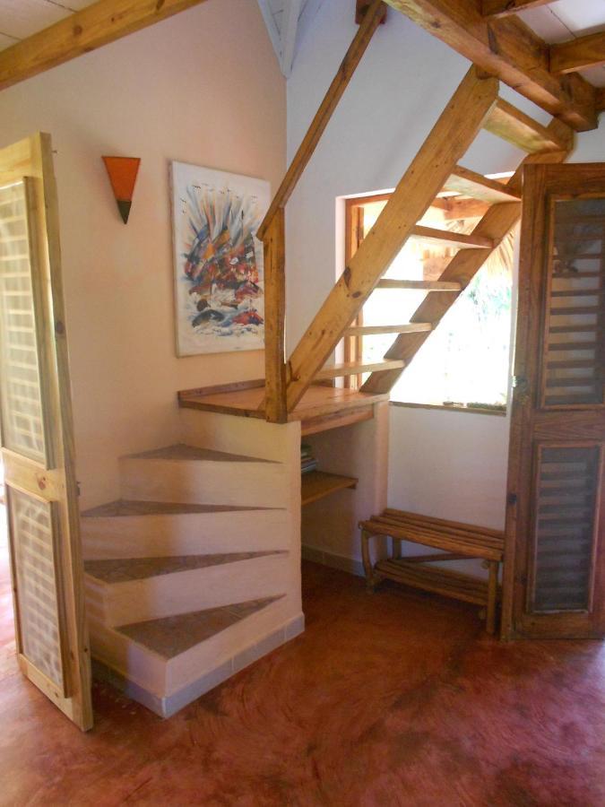 Palm-Covered House In The Tropical -Casa Oli Las Galeras Exterior foto